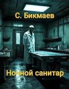Ночной санитар (СИ)